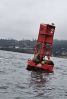 PICTURES/Whale Watching - Depoe Bay/t_Buoy & Seals2.jpg